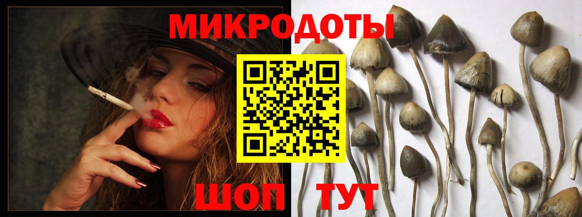 Псилоцибиновые грибы ЛСД  Вход с VPN  Ессентуки 