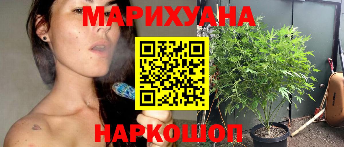 МАРИХУАНА ГИДРОПОН  Шишки марихуана гибрид  Вход с VPN  Ессентуки  Канабис семена  Шишки марихуана SATIVA & INDICA 